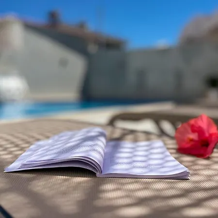 Agushi * كساميل
